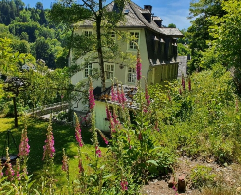 garten-ambiente-haus-barkhausen-monschau-fewo-com