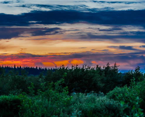 Hohes Venn Ansicht 4