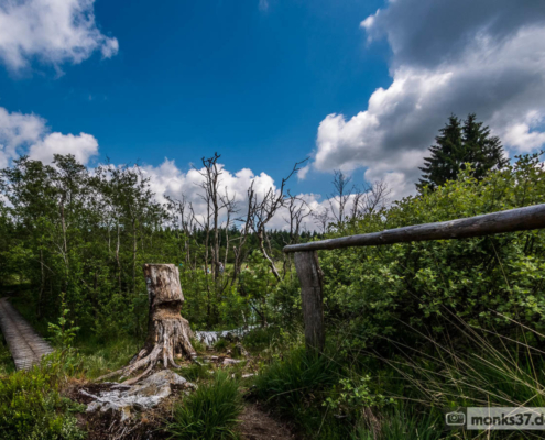 Hohes Venn Ansicht 2