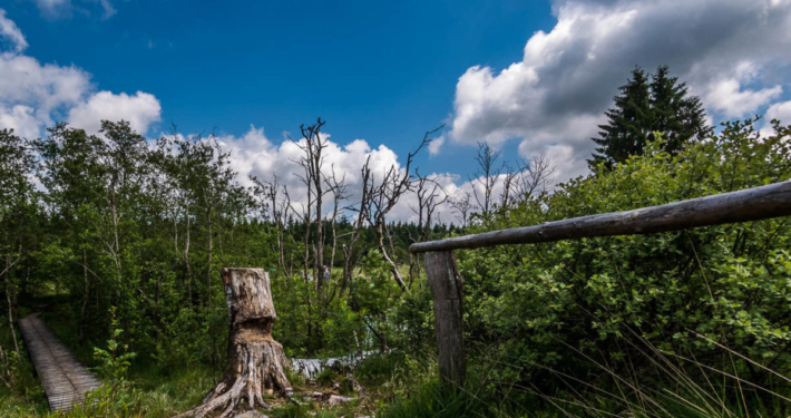 Hohes Venn Ansicht 2