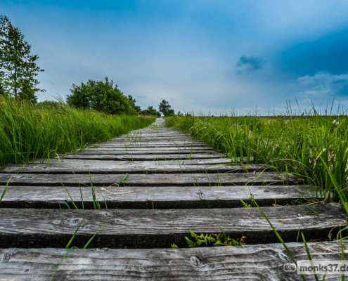 Hohes Venn Ansicht 1