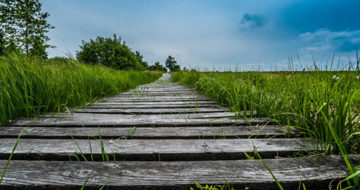 Hohes Venn Ansicht 1