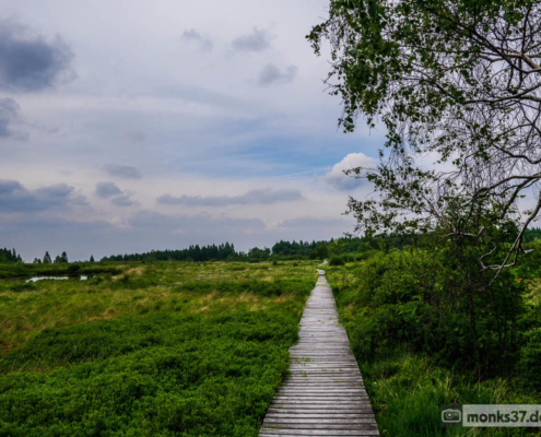 Hohes Venn Ansicht 7