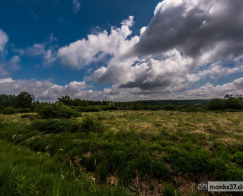 Hohes Venn Ansicht 8