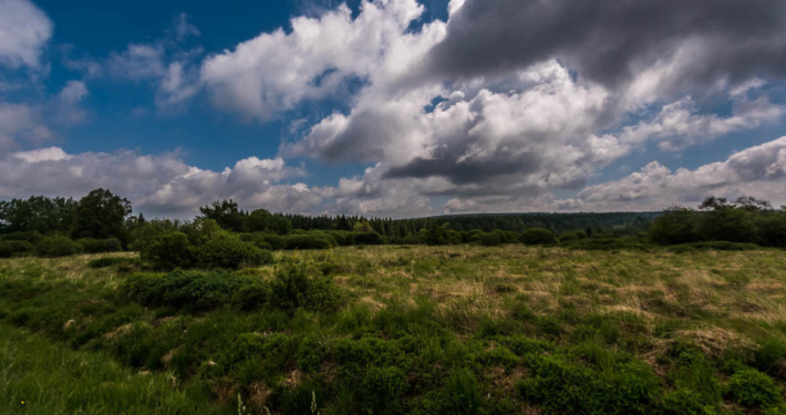 Hohes Venn Ansicht 8