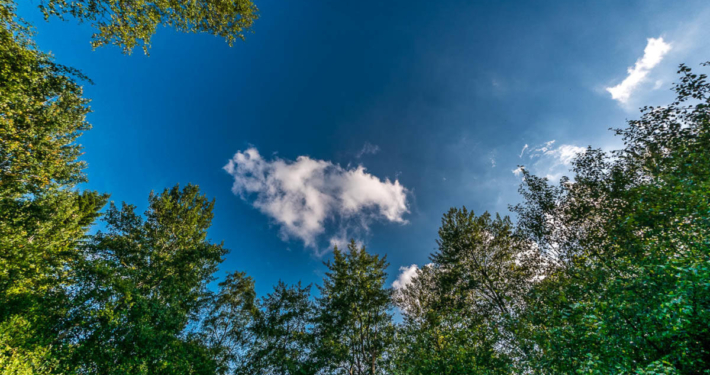 Hohes Venn Ansicht 9