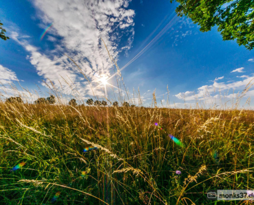 Rursee Perspektive 5