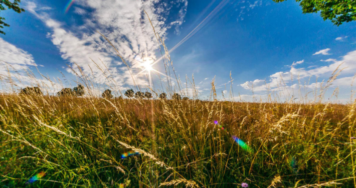 Rursee Perspektive 5